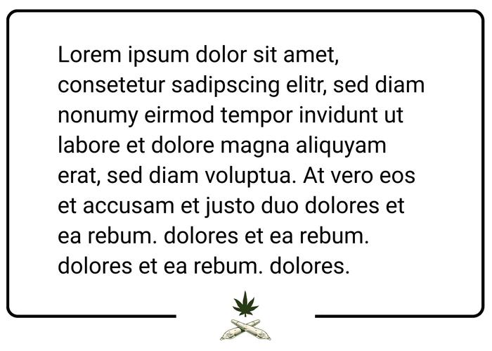 Zitat 3