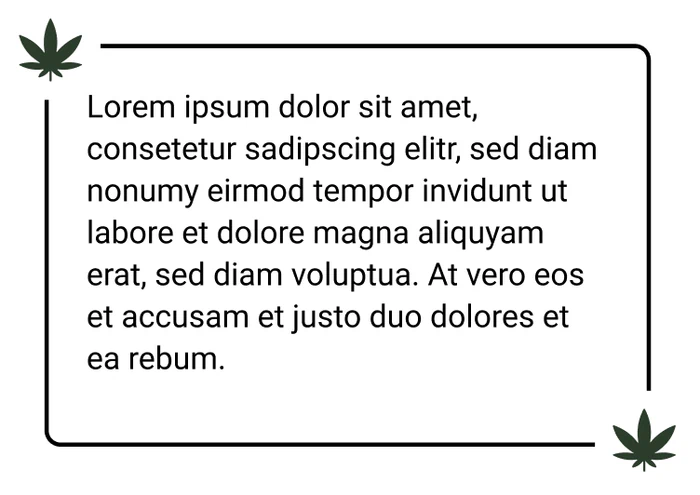 Zitat 8