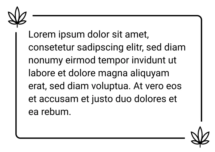Zitat 5