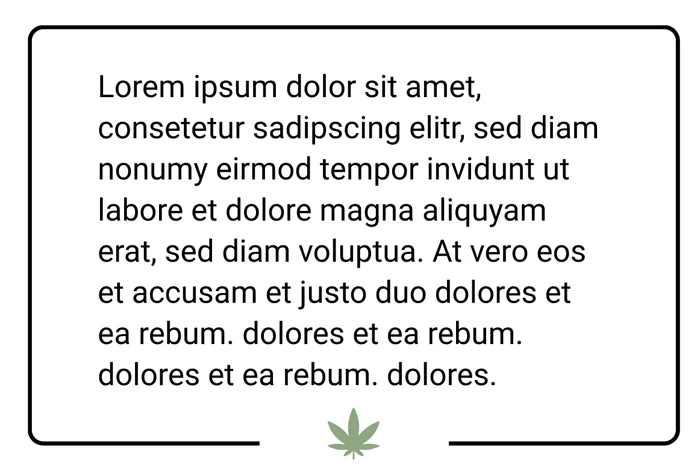 Zitat 2
