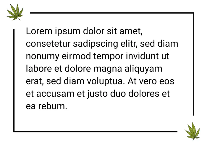 Zitat 1