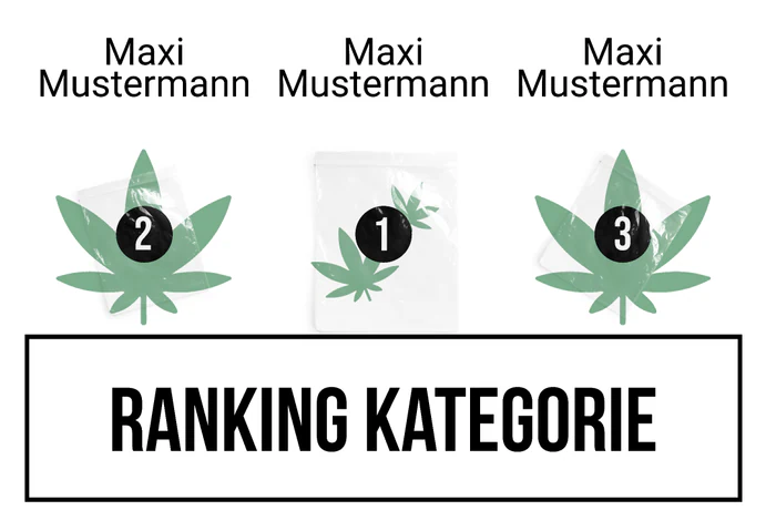 Ranking 4
