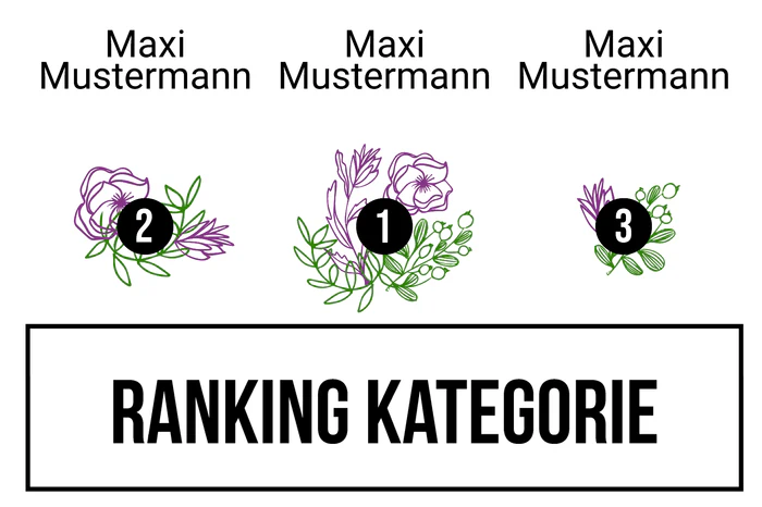 Ranking 12